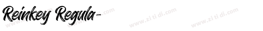 Reinkey Regula字体转换